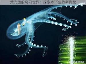 荧光鱼的奇幻世界：探索水下生物新奥秘