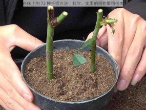 在床上的 72 种扦插方法：科学、实用的植物繁殖指南