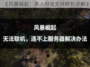 《风暴崛起：多人对战支持联机详解》