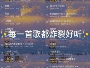 大家好我是喜儿第一部，带来全新音乐体验