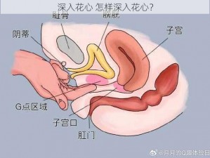 深入花心 怎样深入花心？