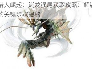 怪物猎人崛起：岚龙强尾获取攻略：解锁强力装备的关键步骤揭秘