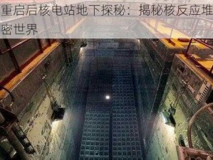 文明重启后核电站地下探秘：揭秘核反应堆之下的秘密世界