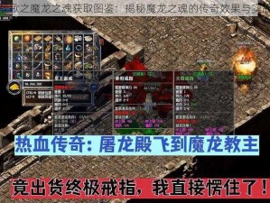 英雄战歌之魔龙之魂获取图鉴：揭秘魔龙之魂的传奇效果与实战攻略