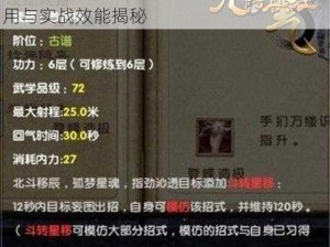 九阴真经手游招式霸体深度解析：招式运用与实战效能揭秘