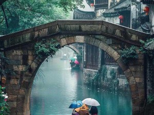 江南生活风景预览：水乡风情与人生百态的交织画卷