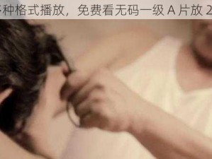 支持多种格式播放，免费看无码一级 A 片放 24 小时