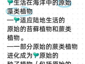 小嘴蜗的进化之旅：揭秘其形态演变与适应环境的奥秘