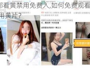 100部看黄禁用免费入,如何免费观看 100 部禁用黄片？