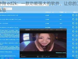 西野翔 ed2k：一款功能强大的软件，让你的工作更高效