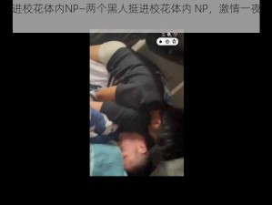 两个黑人挺进校花体内NP—两个黑人挺进校花体内 NP，激情一夜令人血脉贲张