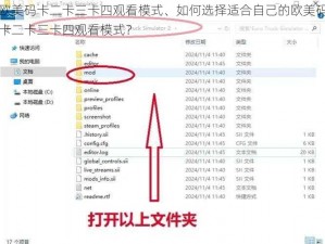 欧美码卡二卡三卡四观看模式、如何选择适合自己的欧美码卡二卡三卡四观看模式？