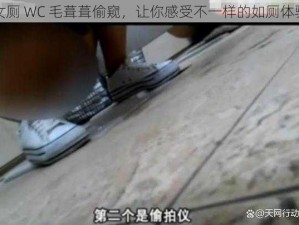 女厕 WC 毛葺葺偷窥，让你感受不一样的如厕体验