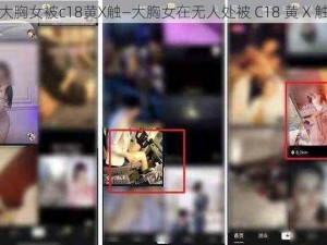 大胸女被c18黄X触—大胸女在无人处被 C18 黄 X 触