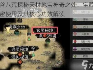 鬼谷八荒探秘天材地宝神奇之处：宝藏的秘密使用及其核心功效解读