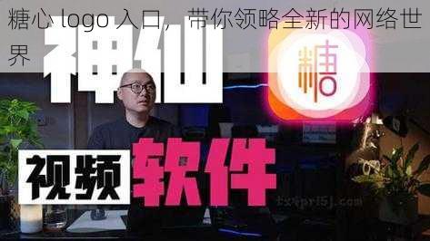 糖心 logo 入口，带你领略全新的网络世界