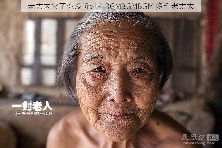 老太太火了你没听过的BGMBGMBGM 多毛老太太