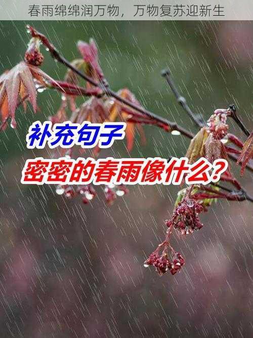 春雨绵绵润万物，万物复苏迎新生