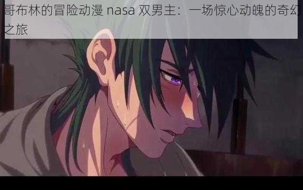 哥布林的冒险动漫 nasa 双男主：一场惊心动魄的奇幻之旅