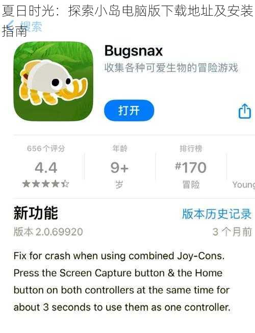 夏日时光：探索小岛电脑版下载地址及安装指南