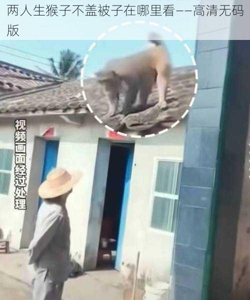 两人生猴子不盖被子在哪里看——高清无码版