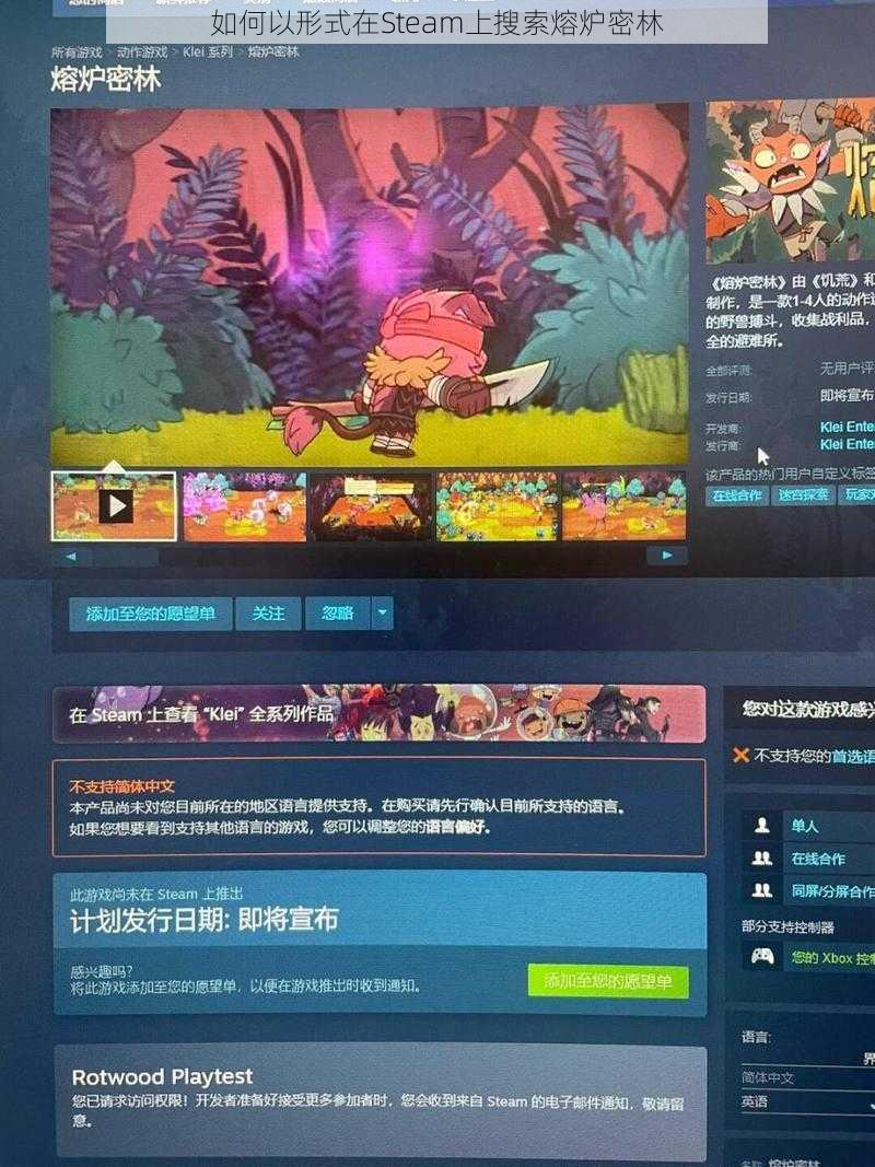 如何以形式在Steam上搜索熔炉密林