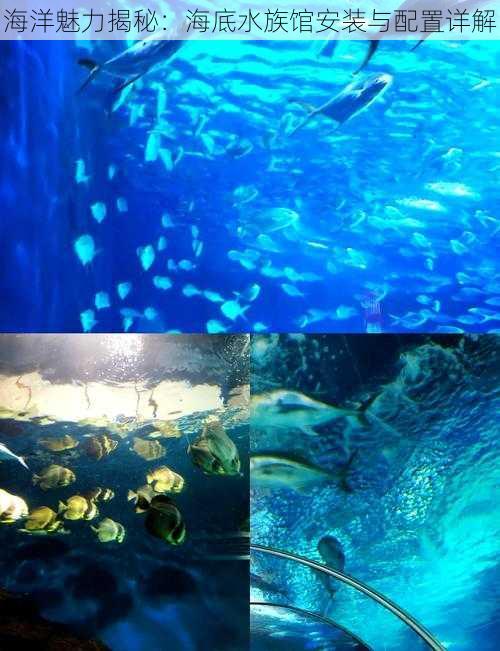 海洋魅力揭秘：海底水族馆安装与配置详解