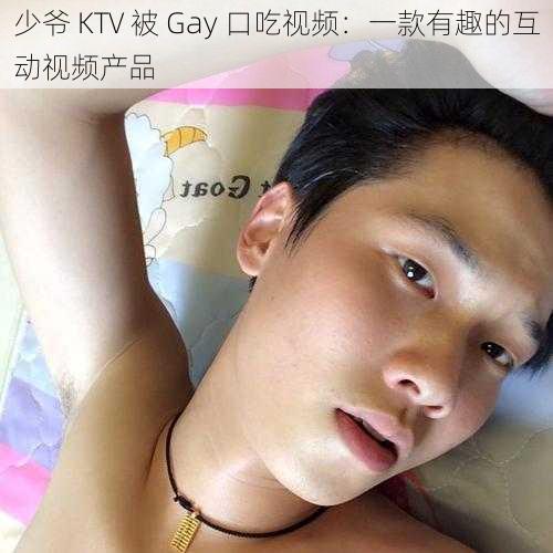 少爷 KTV 被 Gay 口吃视频：一款有趣的互动视频产品