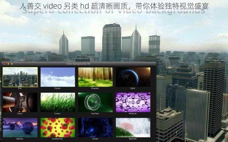 人善交 video 另类 hd 超清晰画质，带你体验独特视觉盛宴