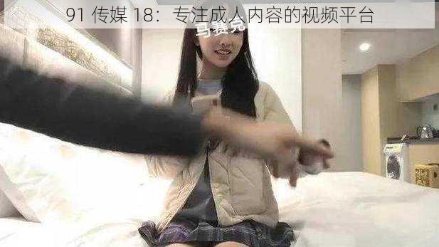 91 传媒 18：专注成人内容的视频平台