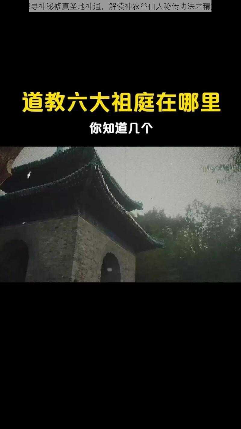 探寻神秘修真圣地神通，解读神农谷仙人秘传功法之精妙