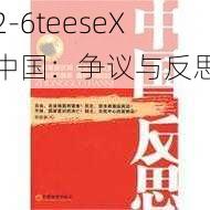 2-6teeseX 中国：争议与反思