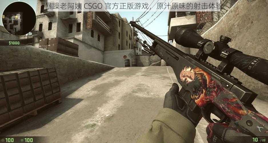 暴躁老阿姨 CSGO 官方正版游戏，原汁原味的射击体验