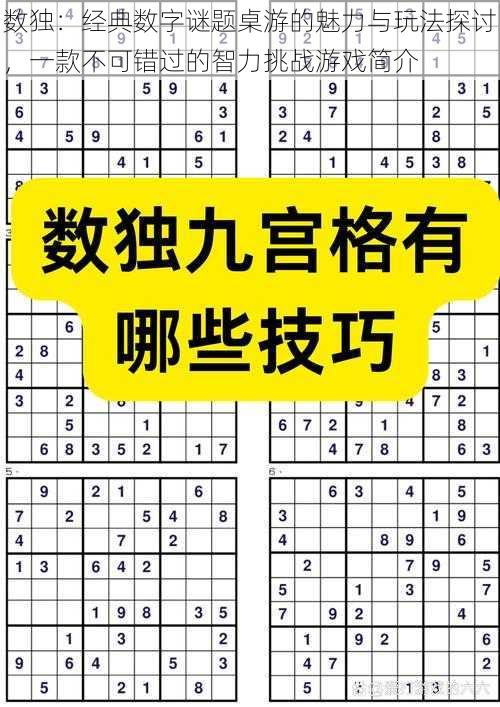 数独：经典数字谜题桌游的魅力与玩法探讨，一款不可错过的智力挑战游戏简介