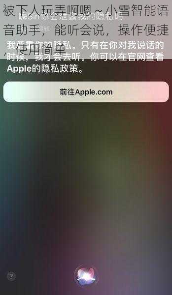 被下人玩弄啊嗯～小雪智能语音助手，能听会说，操作便捷，使用简单