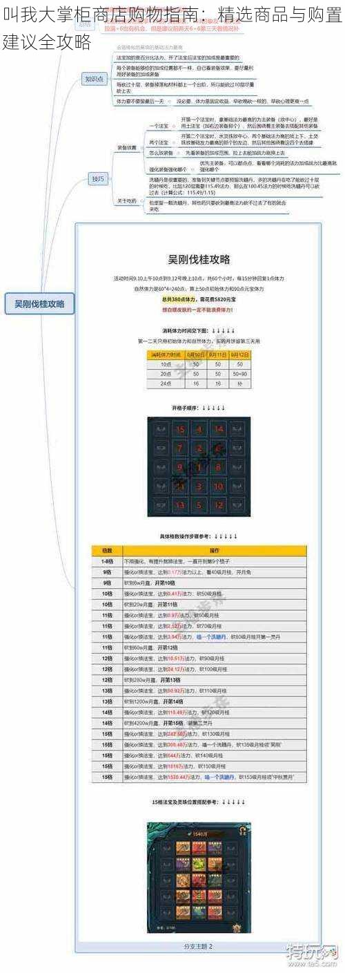 叫我大掌柜商店购物指南：精选商品与购置建议全攻略