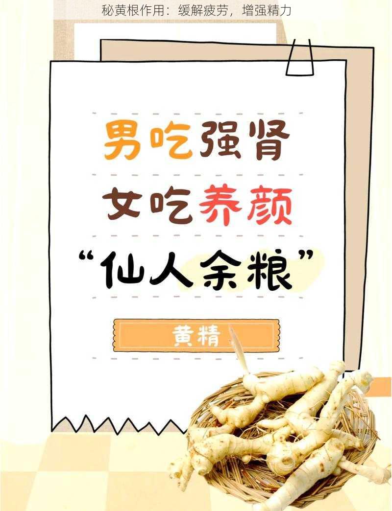 秘黄根作用：缓解疲劳，增强精力