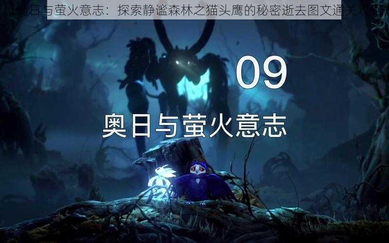 《奥日与萤火意志：探索静谧森林之猫头鹰的秘密逝去图文通关攻略》