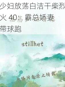 少妇放荡白洁干柴烈火 40：霸总娇妻带球跑