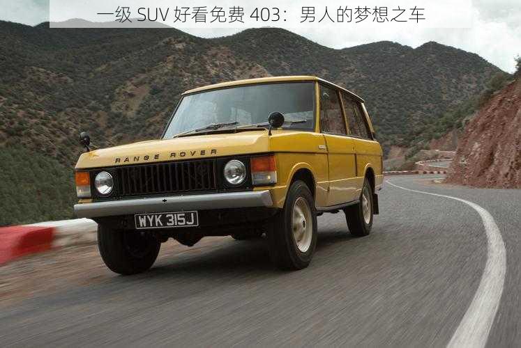 一级 SUV 好看免费 403：男人的梦想之车