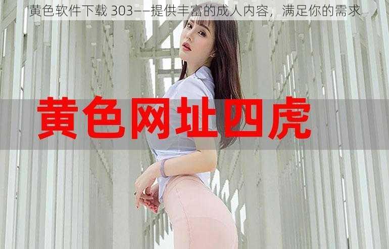 黄色软件下载 303——提供丰富的成人内容，满足你的需求