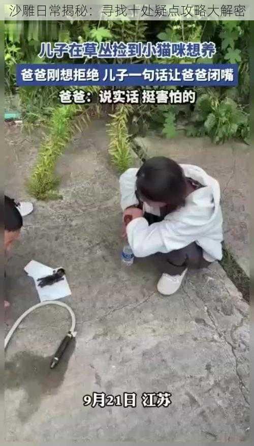 沙雕日常揭秘：寻找十处疑点攻略大解密