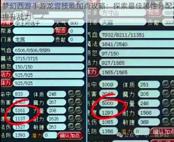 梦幻西游手游龙宫技能加点攻略：探索最佳属性分配提升战力