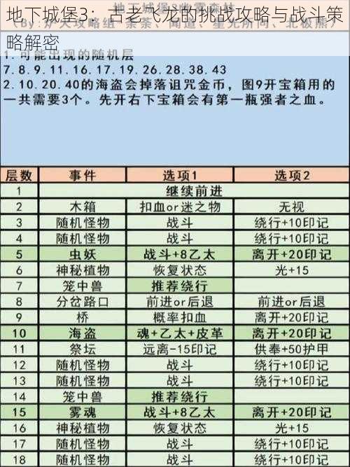 地下城堡3：古老飞龙的挑战攻略与战斗策略解密