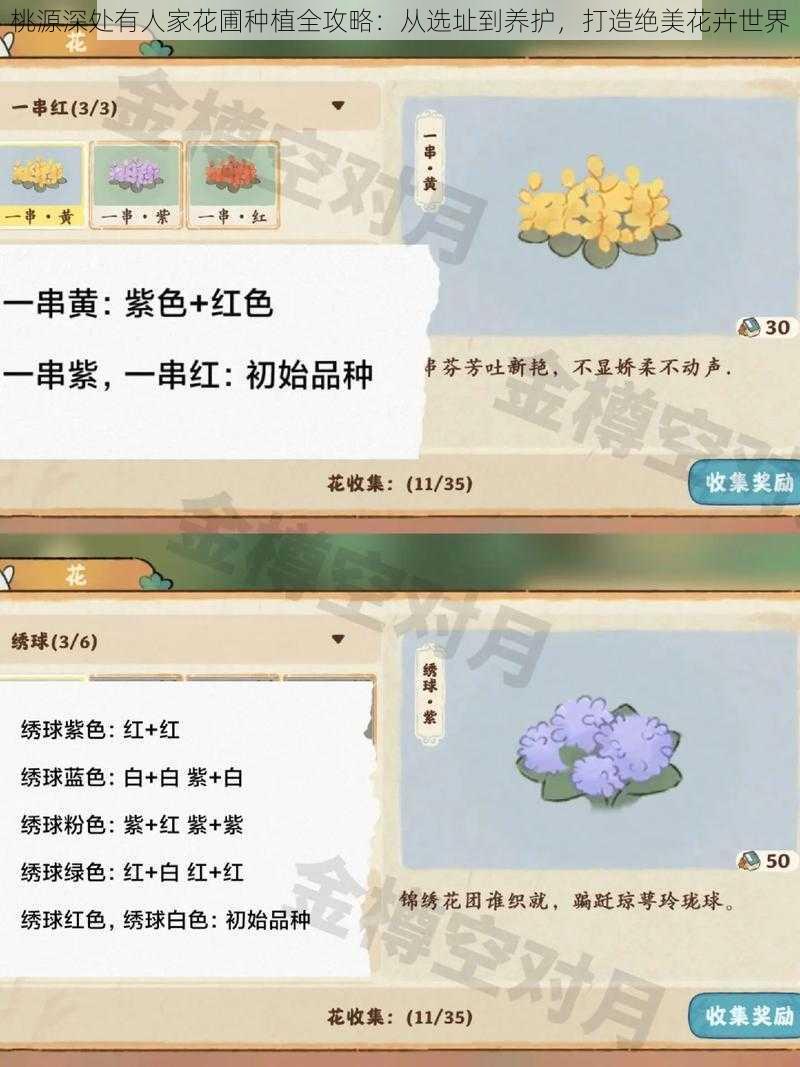 桃源深处有人家花圃种植全攻略：从选址到养护，打造绝美花卉世界