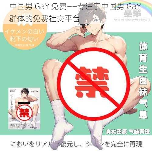 中国男 GaY 免费——专注于中国男 GaY 群体的免费社交平台