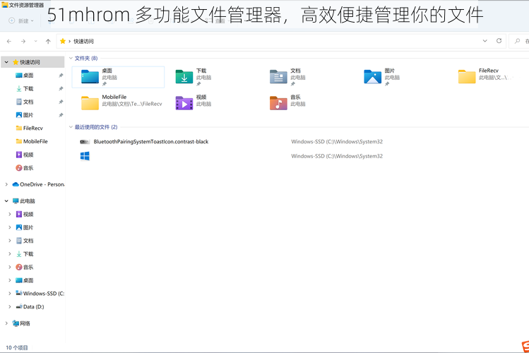 51mhrom 多功能文件管理器，高效便捷管理你的文件