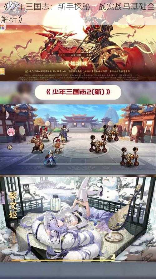 《少年三国志：新手探秘，战宠战马基础全解析》