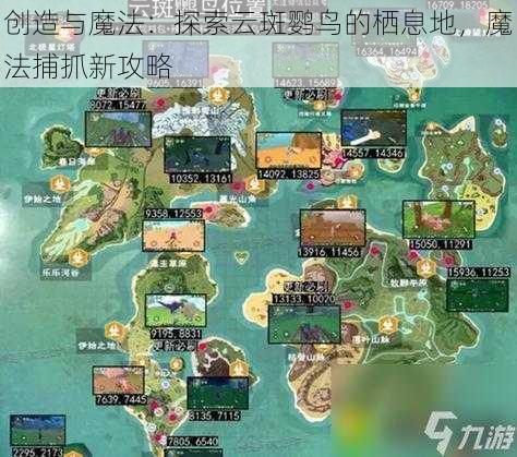 创造与魔法：探索云斑鹦鸟的栖息地，魔法捕抓新攻略