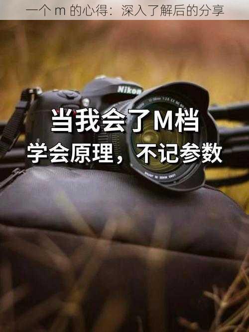 一个 m 的心得：深入了解后的分享